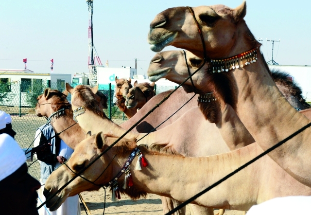 "■ اللحظات الأخيرة قبل الانطلاقة | البيان"