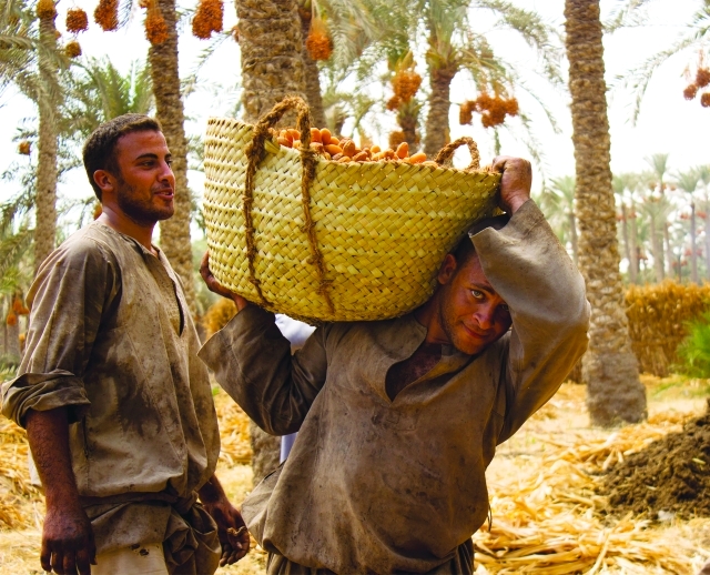 "الصورة الفائزة بالمركز الثالث"