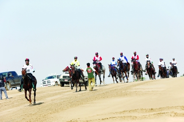 "■ جانب من سباقات القدرة بالوثبة | البيان"