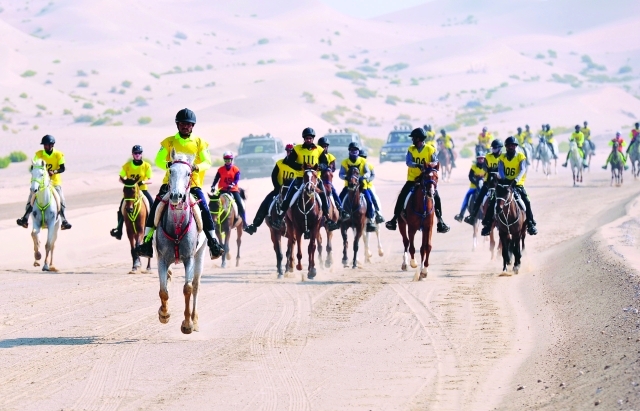 "Ⅶ جانب من منافسات سباقات الاتحاد التأهيلية | البيان"