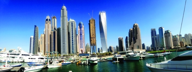 "■ حياة مائية غنية تتيحها دبي لساكنيها | البيان"