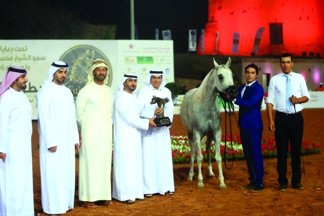 "■ مربط دبي حقق ذهبيتين بجدارة | البيان"
