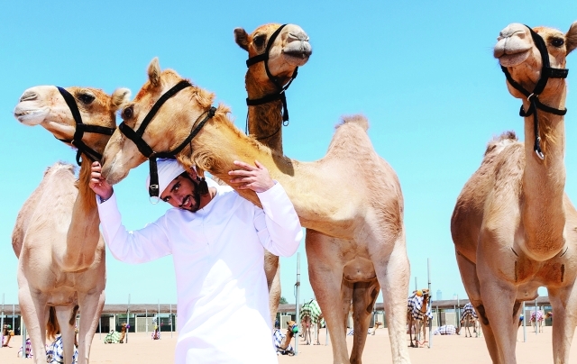 "■ علاقة ود ومحبة ربطت حمدان بن محمد بالهجن"