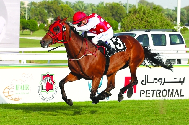 "■ المهرة «محبوبة» حققت بطولة الديربي   |  البيان"