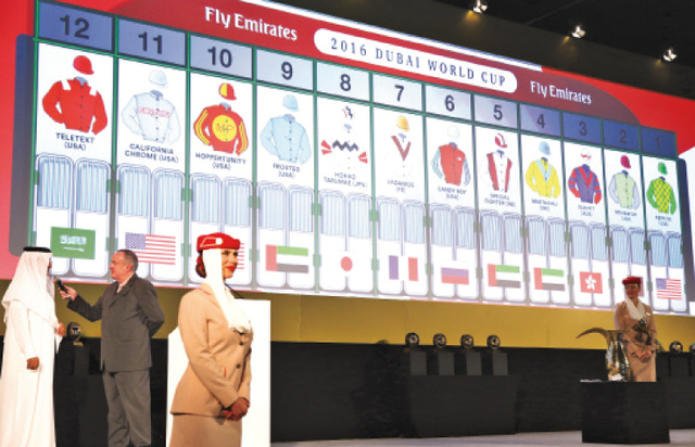 "سعد مشرف بعد اختياره البوابة »12« للحصان السعودي | تصوير: دنيس"