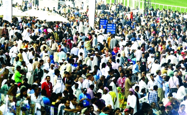 "تصوير عماد علاءالدين"
