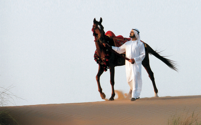 سباقُ الخيول يعود إلى موطنه - كأس دبي العالمي