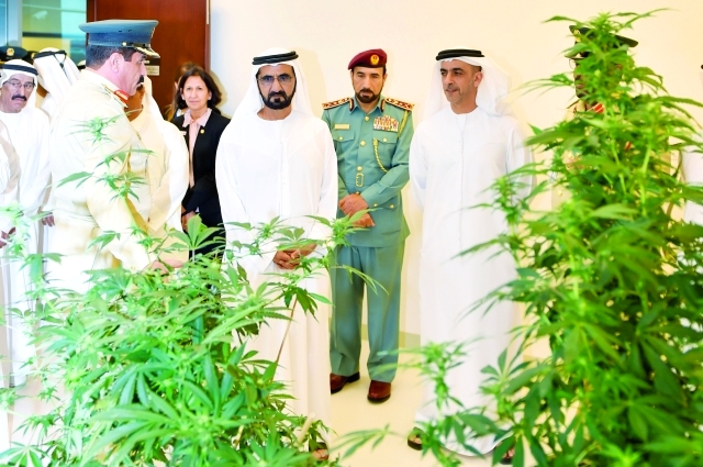"■ محمد بن راشد وسيف بن زايد وسيف الشعفار يستمعون من خميس المزينة لشرح عن المبنى"