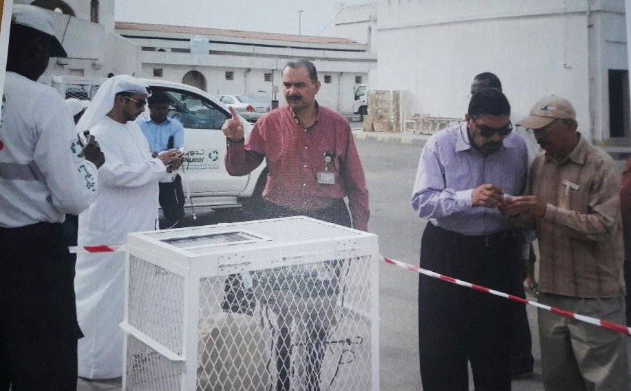 توزيع أجهزة للتقصي الحشري في أم القيوين