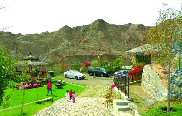 "■ المزرعة توفر خيارات استجمام ممتعة للصغار والكبار | البيان"
