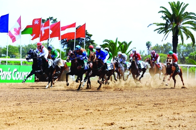 مهرجان منصور بن زايد يخطف الأضواء في المغرب