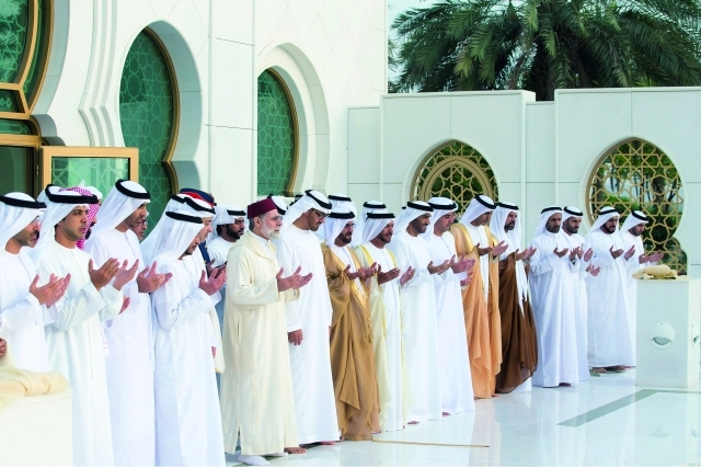"محمد بن زايد وسيف وسرور بن محمد وهزاع وسعيد وعيسى ونهيان وسيف ومنصور وذياب بن زايد وفاروق حمادة"