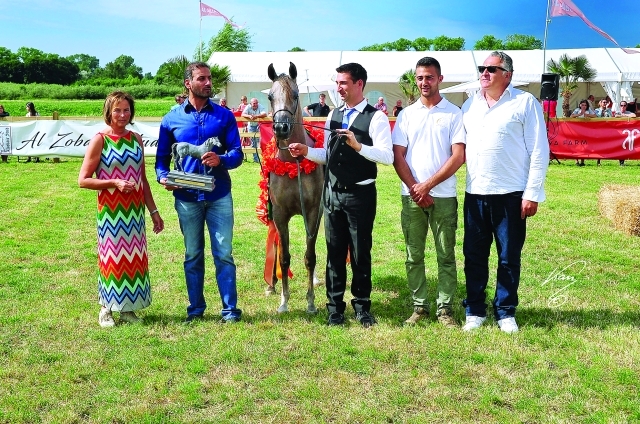 "■ من مراسم تتويج الخيل الفائزة | البيان"