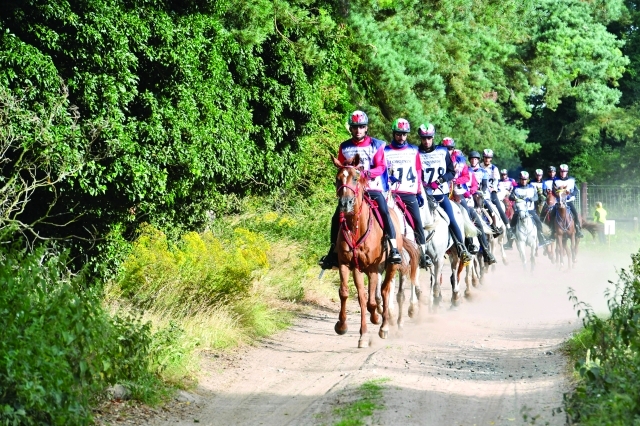 "■ سباقات القدرة تتطلب مهارة فائقة في التعامل مع الخيل | البيان"