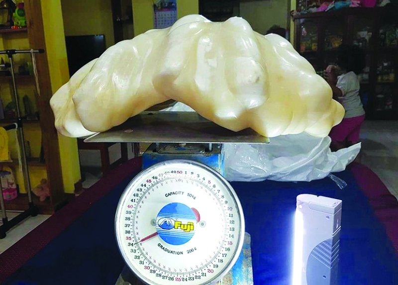 "اللؤلوة"