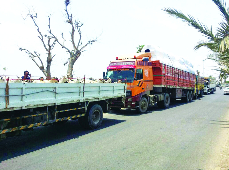 " جانب من المساعدات الإماراتية للشعب اليمني في أبين | وام"