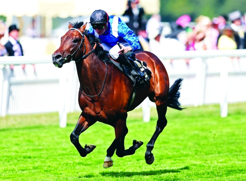 «منتهى» أمل الإمارات في سانت ليجر ستيكس اليوم