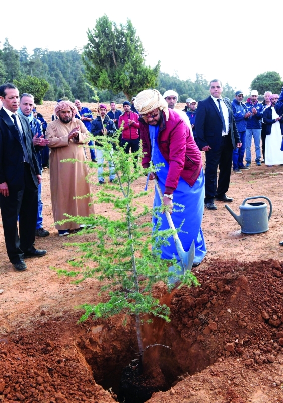 "■ سموه خلال زراعته شجر الأرز"
