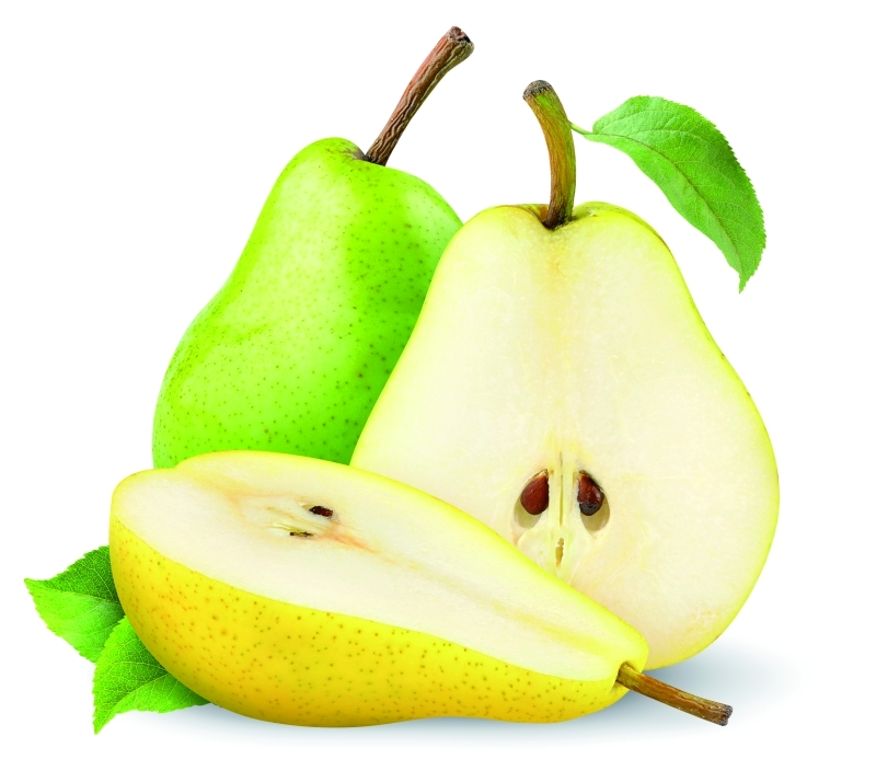 "shutterstock_76291384"