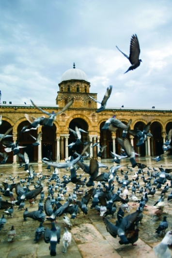 جامع الزيتونة