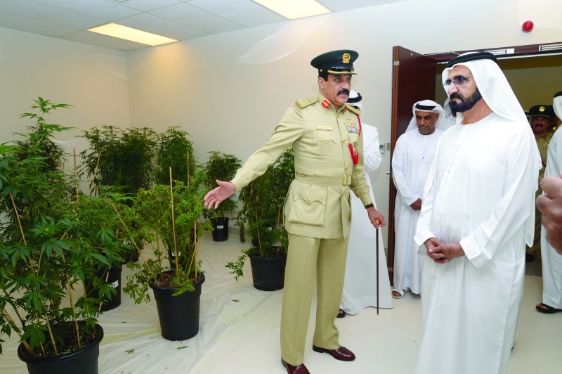 "مشتل الضياع"