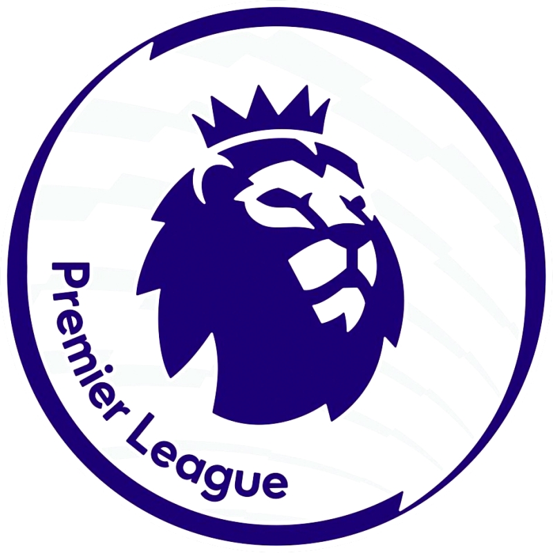 "2016-17-premier-league-sleeve-patch-2"