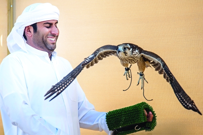 "Ⅶ سهيل الكندي في منطقة هد الطير"