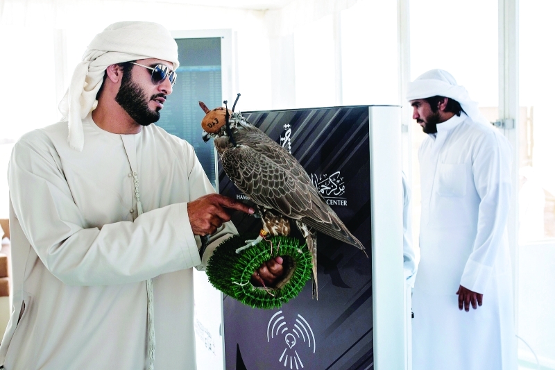 "■ بوابة العبور لمنطقة هد الطير"