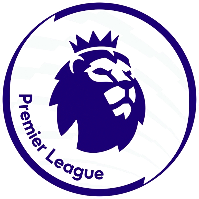 "2016-17-premier-league-sleeve-patch-2"