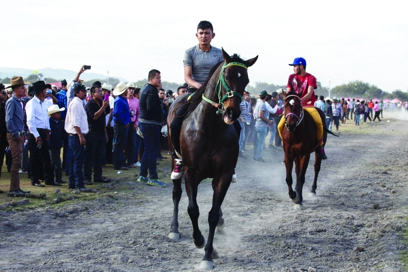 "■ جانب من سباق الخيل في الحفل | أ ف ب"