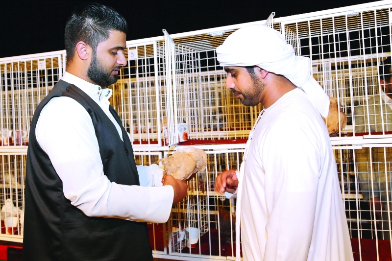 "النادي جمع هواة الطيور داخل وخارج الدولة | تصوير : يونس يونس"