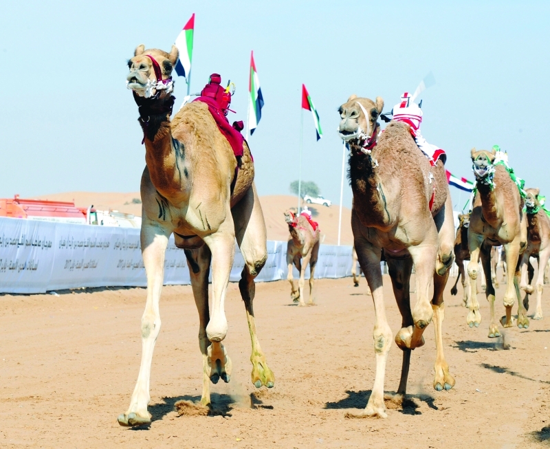 "■ المنافسات تميزت بالندية والإثارة"