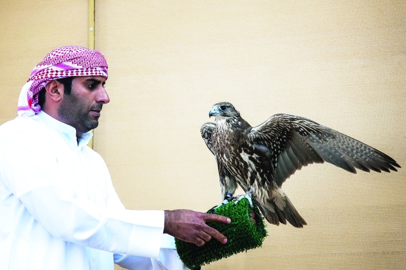 "الصقار سهيل الكتبي من فريق أف 3 ــ البيان"