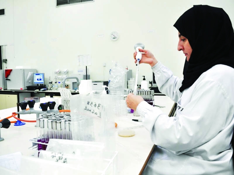 " جهود كبيرة بذلتها البلدية طوال العام للارتقاء بمعدلات السلامة  |  البيان"