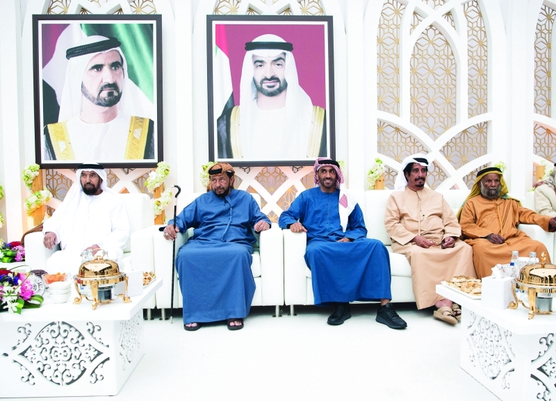 "سلطان ونهيان بن زايد"