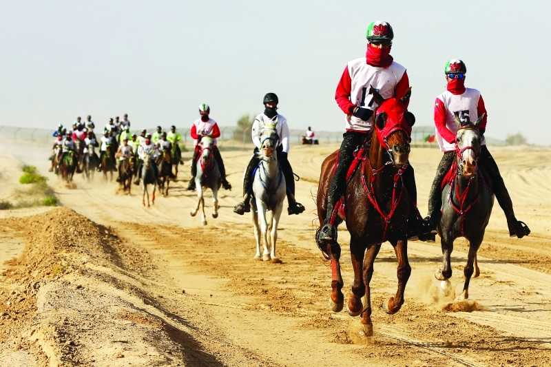 "■ نخبة الفرسان المتوقع مشاركتهم في سباق كأس رئيس الدولة للقدرة | البيان"