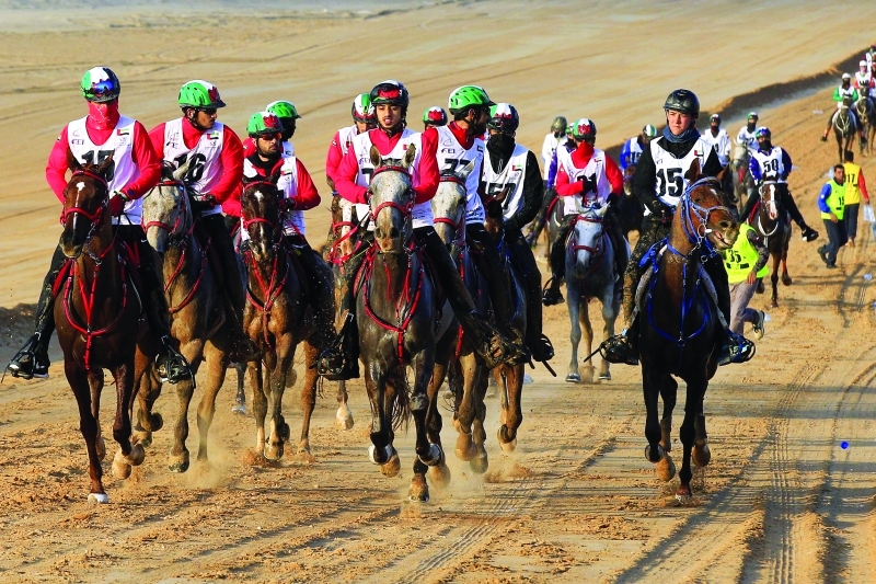 "Ⅶ أبرز فرسان القدرة يشاركون في السباق | البيان"