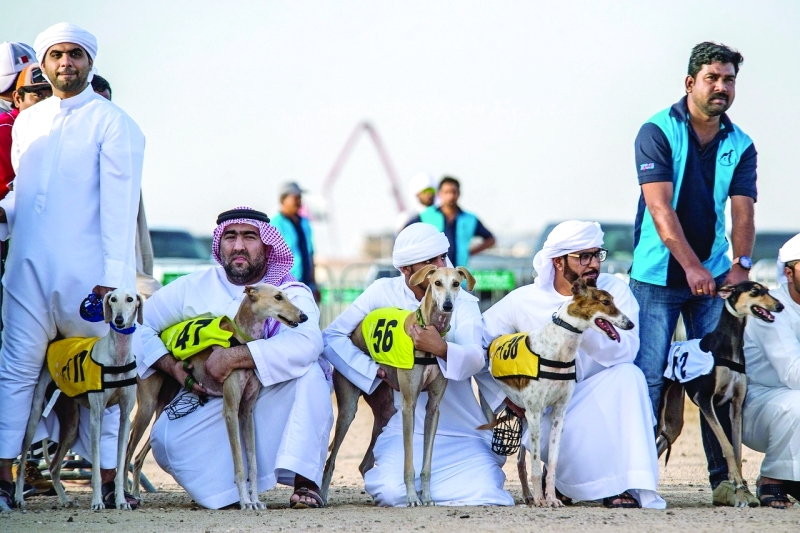 "■ تغييرات في آلية ونظام السباق تشجيعاً للشباب لاستمرارية هذه الرياضة"