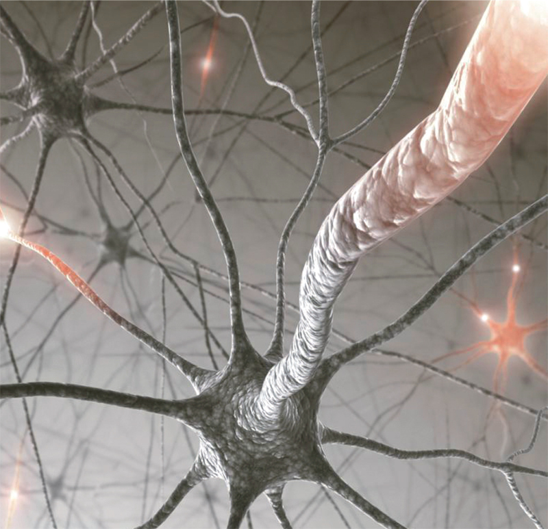 أجهزة مسح المخ باستخدام أشعة الرنين المغناطيسي الوظيفي «fMRI»  غير دقيقة