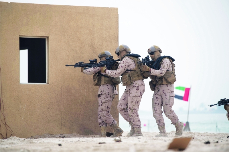 "صنوف من قواتنا البرية خلال المناورات"