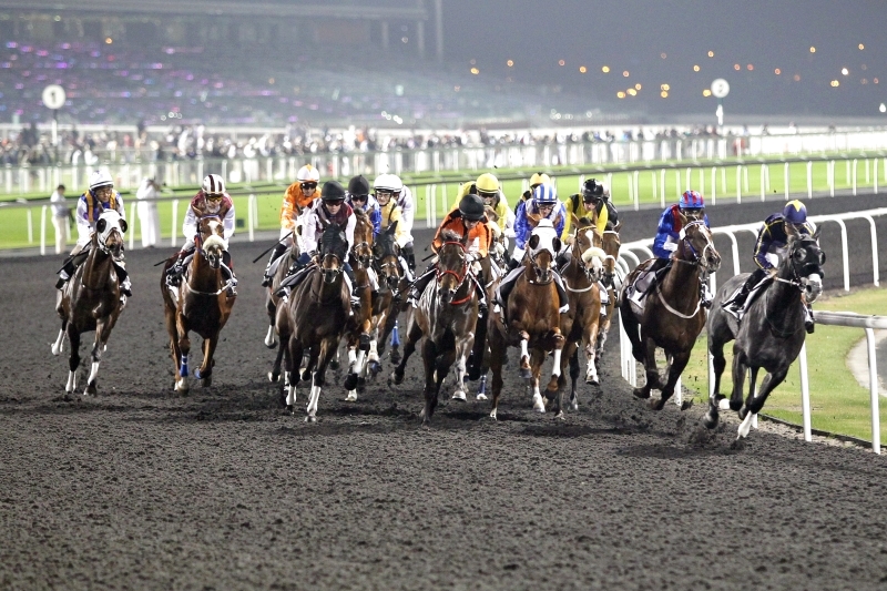 "لقطات عامة لمضمار ند الشبا لسباقات الخيل بدبي خلال مهرجان كأس دبي العالمي 2008 تصوير عمااد علاء الدين 29 مارس 2008"