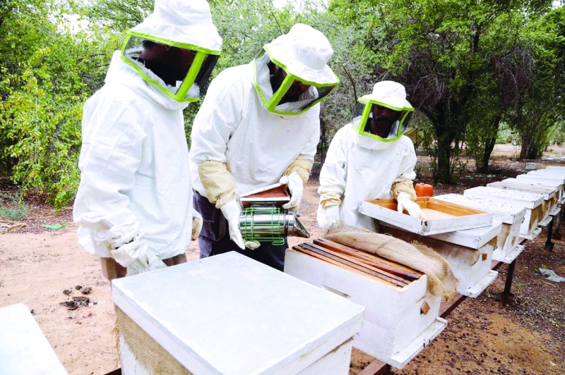 "وحدة العناية بالنحل | البيان"