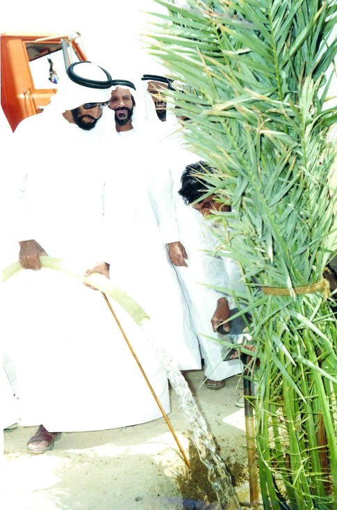 "الشيخ زايد الداعم الأول للقطاع الزراعي.. وإصراره قلب الصحراء إلى واحة خضراء"