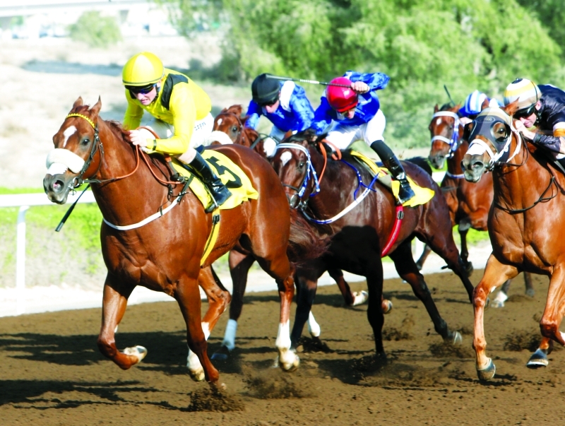 "■ الإمارات رائدة في سباقات الفروسية بمختلف فئاتها | أرشيفية"