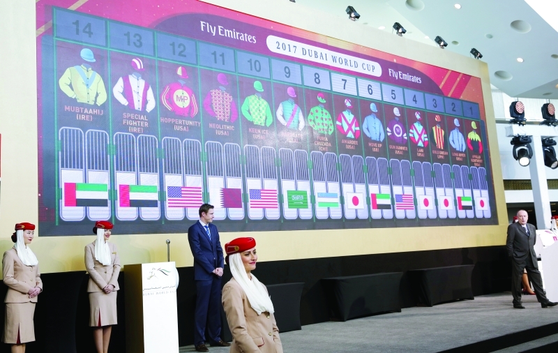 "■ خيول الإمارات تنطلق من البوابات 2 و6 و13 و14 في شوط كأس دبي العالمي | تصوير ـ ناصر بابو"