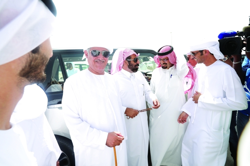 "سلطان بن حمدان"