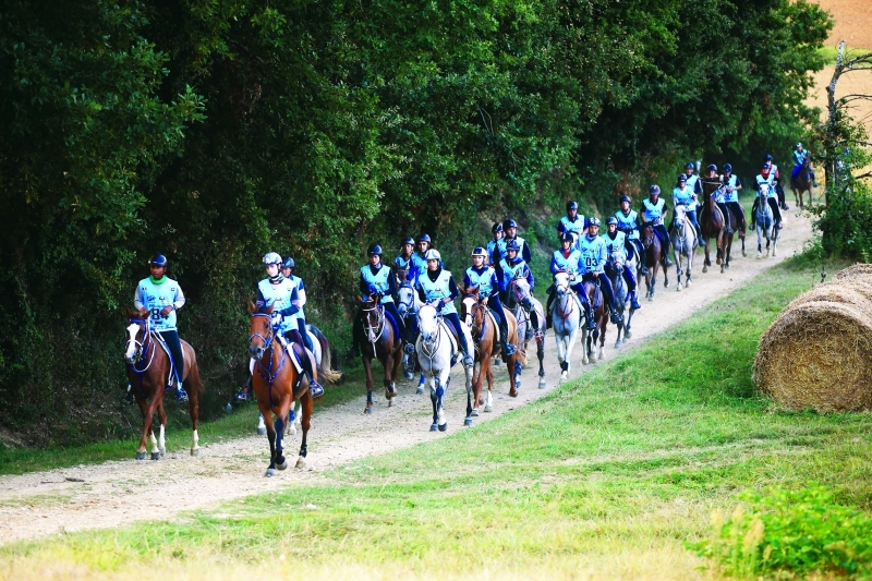 "■ مشاركة قياسية متوقعة من نخبة الفرسان  |  البيان"