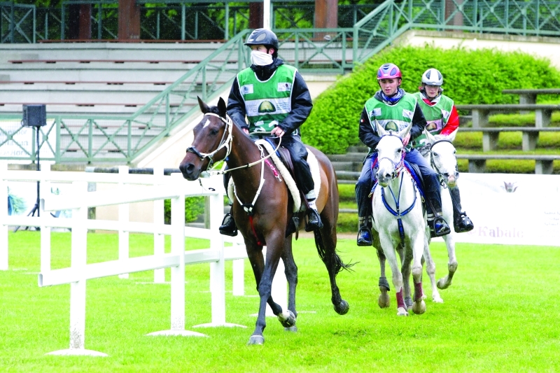 "■  من سباقات القدرة في إيطاليا برعاية المهرجان  |  أرشيفية"