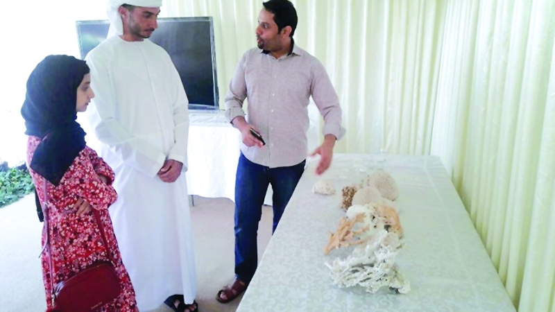 "تعريف النشء بأهمية شجرة المانغروف | من المصدر"