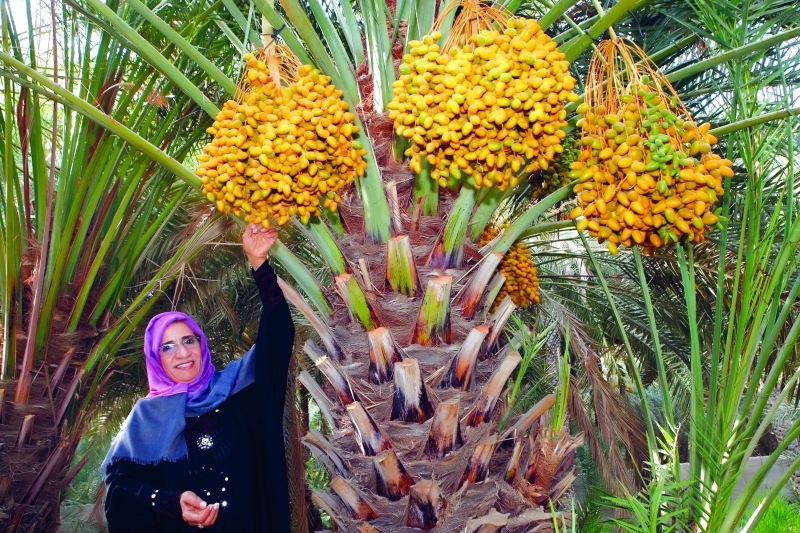 "■ علاقة الخير والكرم في مجتمع الإمارات"